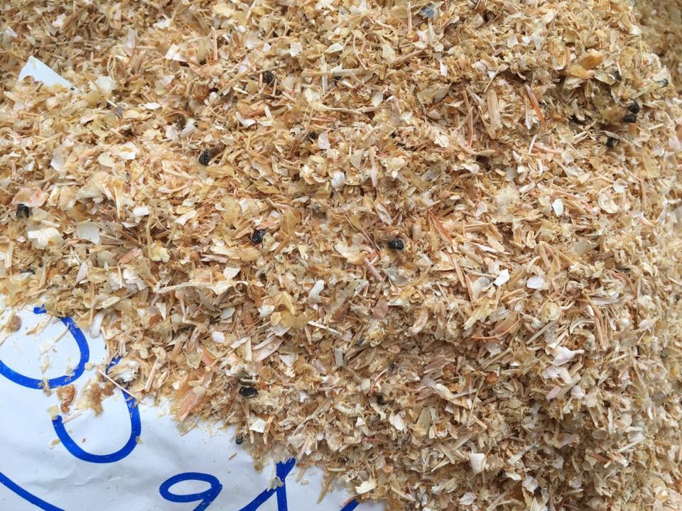 IMG_1509443603235_1509443920388