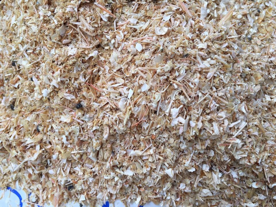 IMG_1509443603299_1509443918503