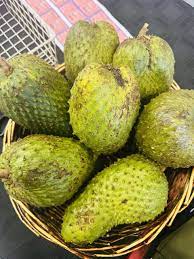 soursop 3