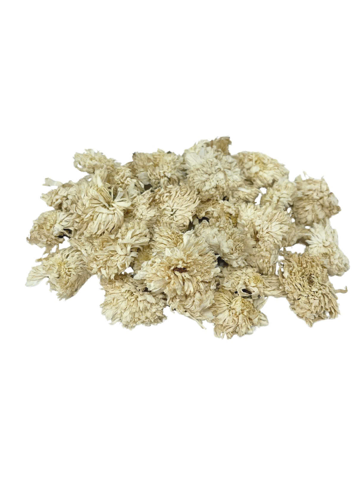 z7061159583142_049488b3c444e948a1b4ee3268cf9dcc